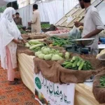 ramzan bazar 610x380 1